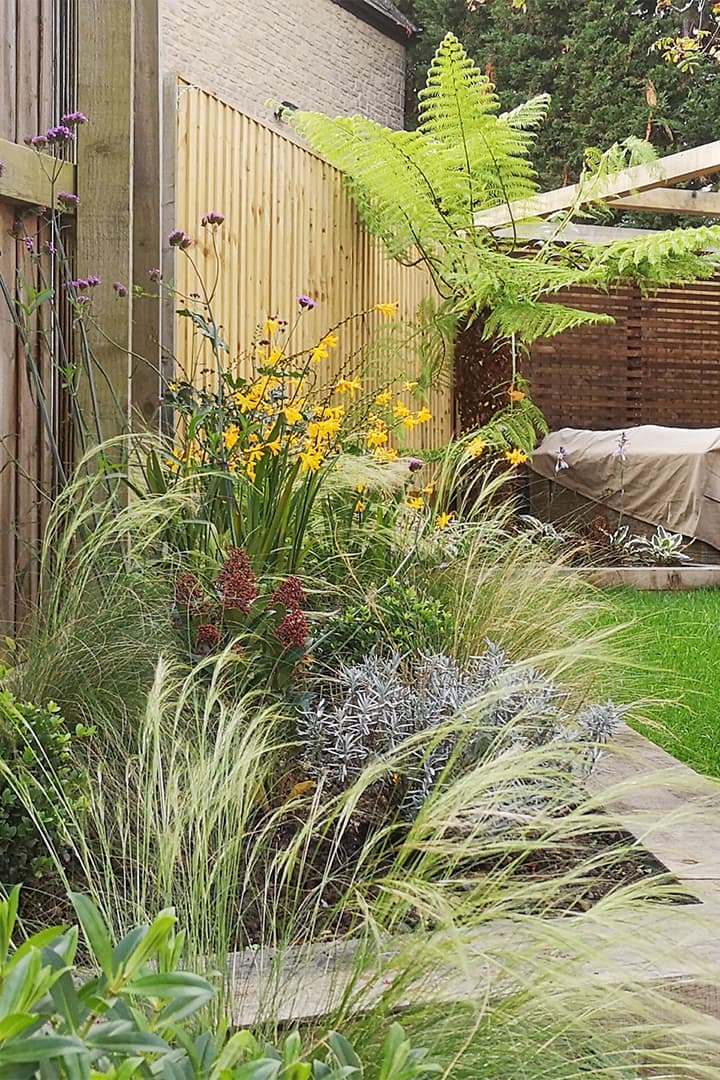 Feathery grasses blurring the lines of the timber border edges against the backdrop of an impressive tree fern.